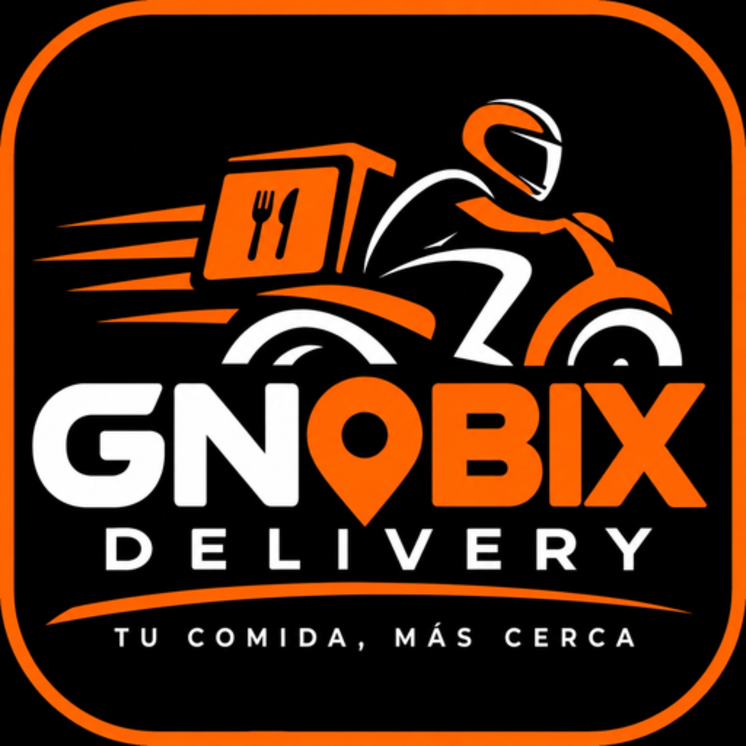 GNOBIX DELIVERY